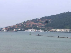 Ảnh bìa bài viết 439139