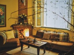 Ảnh bìa bài viết 439305