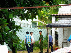 Ảnh bìa bài viết 439293