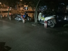 Ảnh bìa bài viết 439335