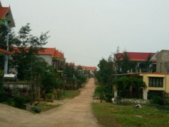 Ảnh bìa bài viết 439446