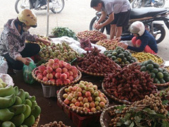 Ảnh bìa bài viết 439555