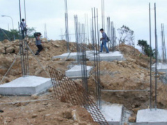 Ảnh bìa bài viết 439425