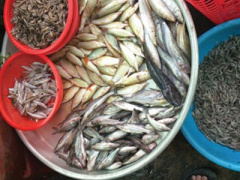 Ảnh bìa bài viết 439799
