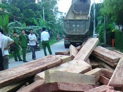 Ảnh bìa bài viết 439837