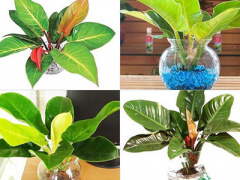 Ảnh bìa bài viết 440062