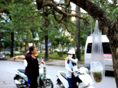 Ảnh bìa bài viết 439983