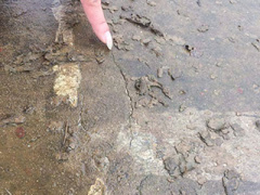 Ảnh bìa bài viết 440904