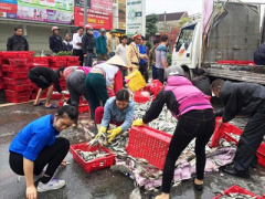Ảnh bìa bài viết 441010