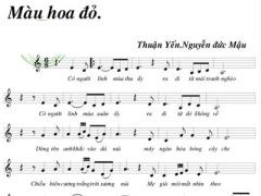 Ảnh bìa bài viết 441023