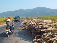 Ảnh bìa bài viết 441293