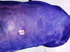 Ảnh bìa bài viết 441090