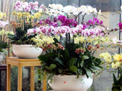 Ảnh bìa bài viết 441277