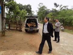 Ảnh bìa bài viết 441343