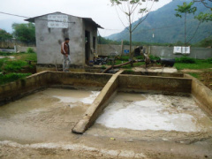 Ảnh bìa bài viết 441142