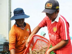 Ảnh bìa bài viết 441636