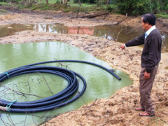 Ảnh bìa bài viết 441597