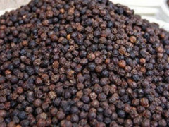 Ảnh bìa bài viết 441385