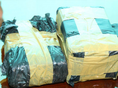 Ảnh bìa bài viết 442305