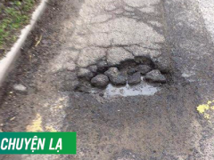 Ảnh bìa bài viết 442427