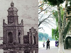 Ảnh bìa bài viết 442384