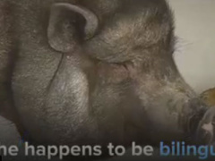 Ảnh bìa bài viết 442348