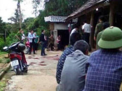 Ảnh bìa bài viết 442336