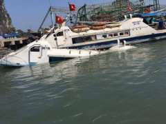 Ảnh bìa bài viết 442586