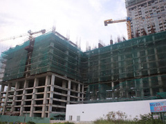 Ảnh bìa bài viết 442687