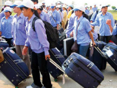 Ảnh bìa bài viết 442664