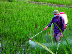 Ảnh bìa bài viết 442700