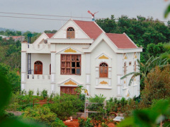 Ảnh bìa bài viết 442989