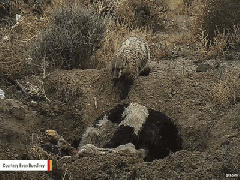 Ảnh bìa bài viết 442924