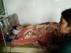 Ảnh bìa bài viết 442997