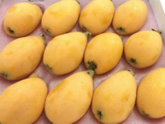 Ảnh bìa bài viết 442772
