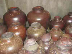 Ảnh bìa bài viết 442895