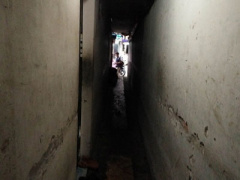Ảnh bìa bài viết 442811