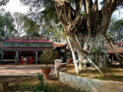 Ảnh bìa bài viết 442792
