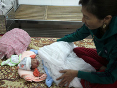 Ảnh bìa bài viết 443231