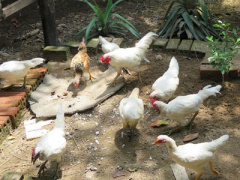 Ảnh bìa bài viết 443123