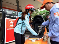 Ảnh bìa bài viết 443187