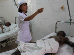 Ảnh bìa bài viết 443294