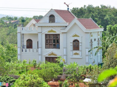 Ảnh bìa bài viết 443244