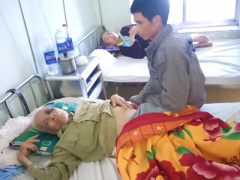 Ảnh bìa bài viết 443045