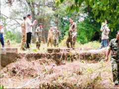 Ảnh bìa bài viết 443466