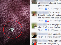 Ảnh bìa bài viết 443380