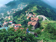 Ảnh bìa bài viết 443476