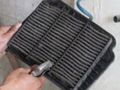 Ảnh bìa bài viết 443338
