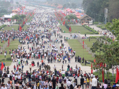 Ảnh bìa bài viết 443456