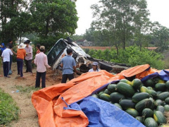 Ảnh bìa bài viết 443554